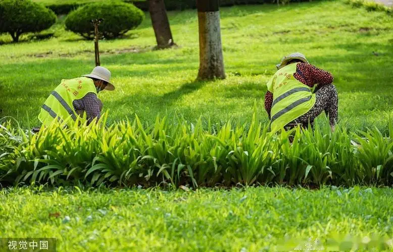 揭阳园林绿化工程预算多少