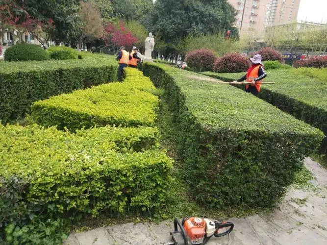 市政园林管理存在短板：专家建议如何完善？